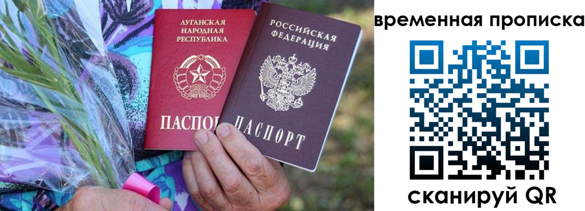 купить прописку в Зернограде